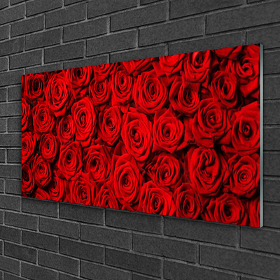 Quadro in vetro acrilico Rose Sul Muro