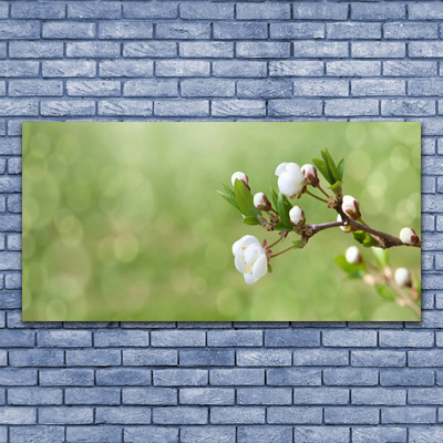 Quadro in vetro acrilico Fiori Sul Muro