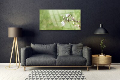 Quadro in vetro acrilico Fiori Sul Muro