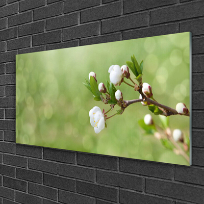 Quadro in vetro acrilico Fiori Sul Muro