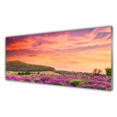 Quadro acrilico Paesaggio di fiori di prato