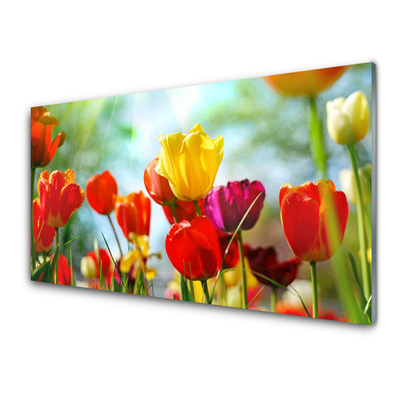 Quadro acrilico Fiori Sul Muro