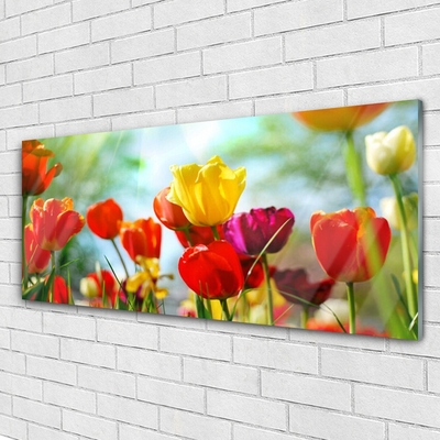 Quadro acrilico Fiori Sul Muro