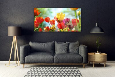 Quadro acrilico Fiori Sul Muro