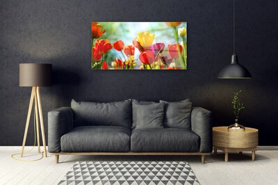 Quadro acrilico Fiori Sul Muro