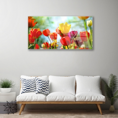 Quadro acrilico Fiori Sul Muro