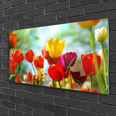 Quadro acrilico Fiori Sul Muro