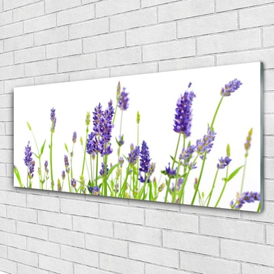 Quadro acrilico Fiori Sul Muro