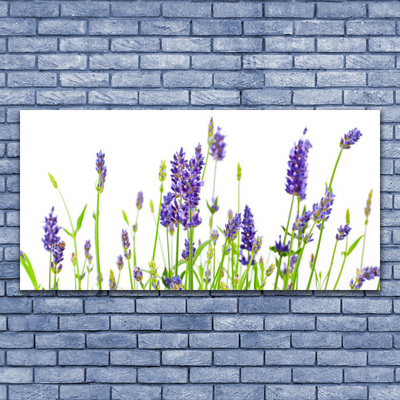 Quadro acrilico Fiori Sul Muro