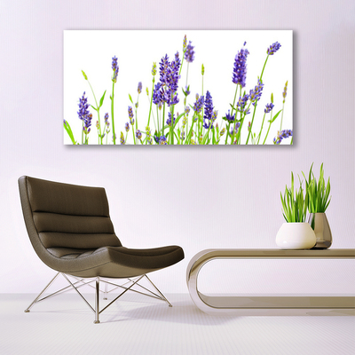 Quadro acrilico Fiori Sul Muro