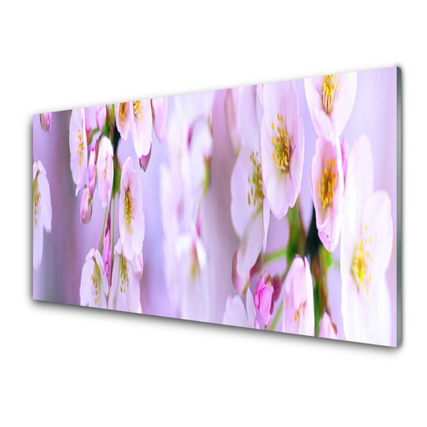 Quadro acrilico Fiori Sul Muro