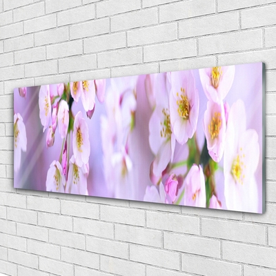 Quadro acrilico Fiori Sul Muro