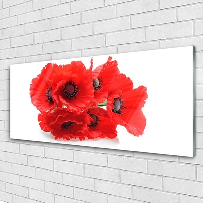 Quadro in vetro acrilico Fiori Sul Muro