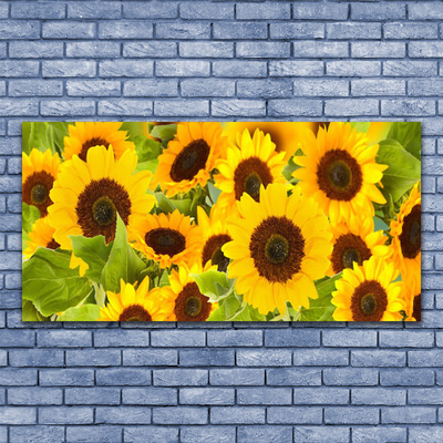 Quadro acrilico Pianta i girasoli