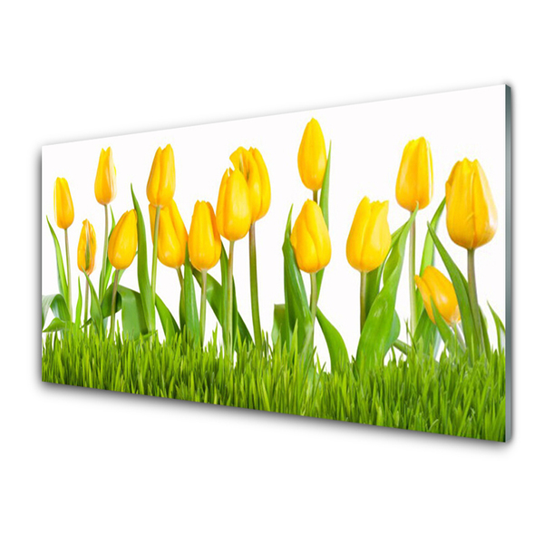 Quadro acrilico Tulipani Sul Muro