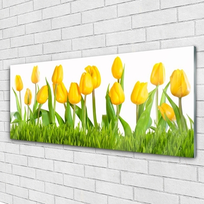 Quadro acrilico Tulipani Sul Muro