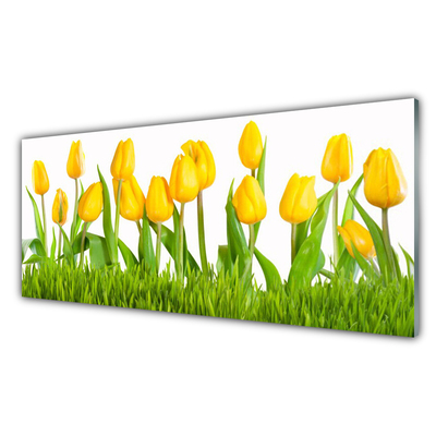 Quadro acrilico Tulipani Sul Muro