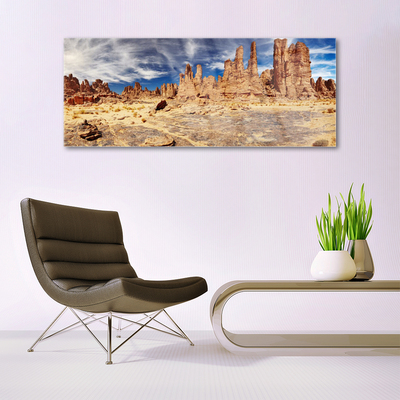 Quadro in vetro acrilico Paesaggio di sabbia del deserto