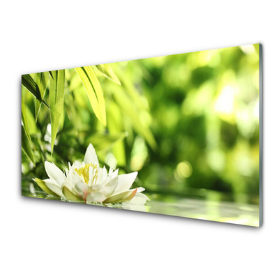 Quadro in vetro acrilico Foglie di fiori