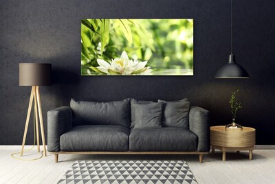 Quadro in vetro acrilico Foglie di fiori