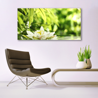 Quadro in vetro acrilico Foglie di fiori