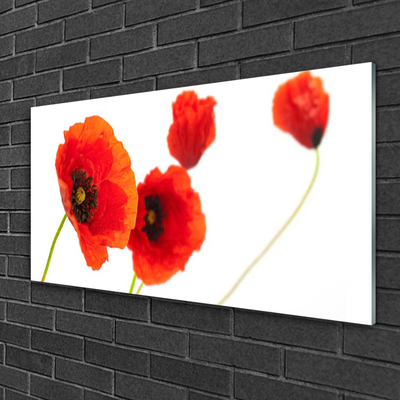 Quadro vetro acrilico I fiori della pianta