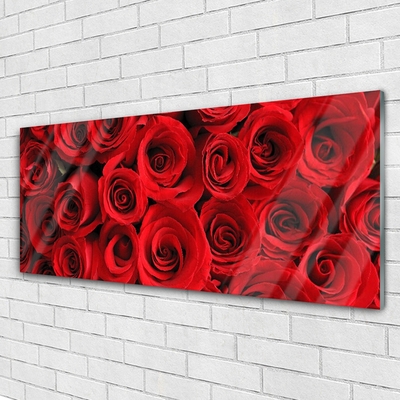 Quadro su vetro acrilico Fiori di rose