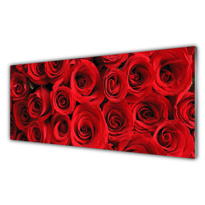 Quadro su vetro acrilico Fiori di rose