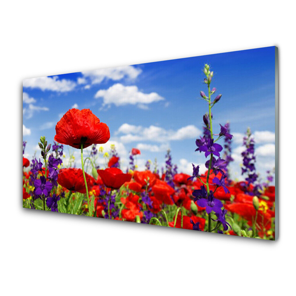 Quadro acrilico Fiori Sul Muro