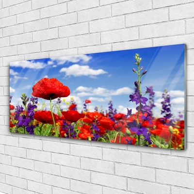 Quadro acrilico Fiori Sul Muro