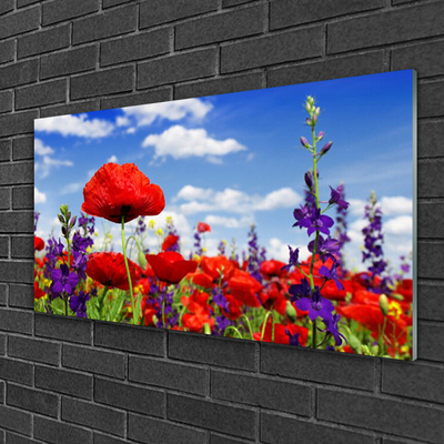 Quadro acrilico Fiori Sul Muro