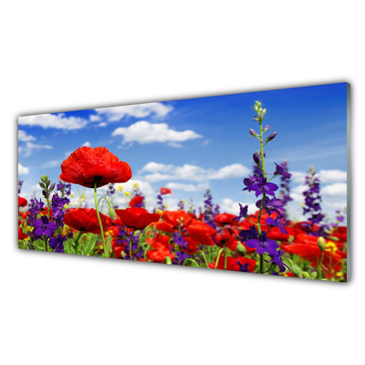 Quadro acrilico Fiori Sul Muro