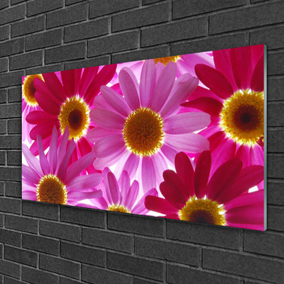 Quadro su vetro acrilico Fiori Sul Muro