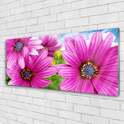 Quadro vetro acrilico Fiori Sul Muro