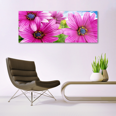 Quadro vetro acrilico Fiori Sul Muro