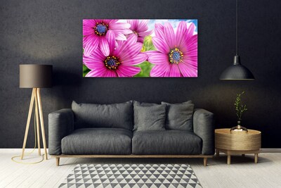 Quadro vetro acrilico Fiori Sul Muro