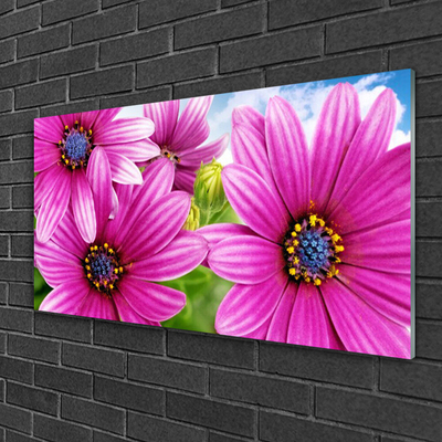 Quadro vetro acrilico Fiori Sul Muro