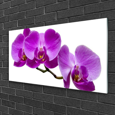 Quadro acrilico Fiori Sul Muro