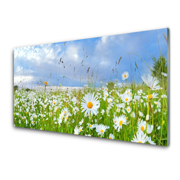 Quadro acrilico Prato Daisy Natura