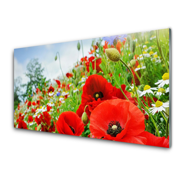 Quadro acrilico Fiori della natura