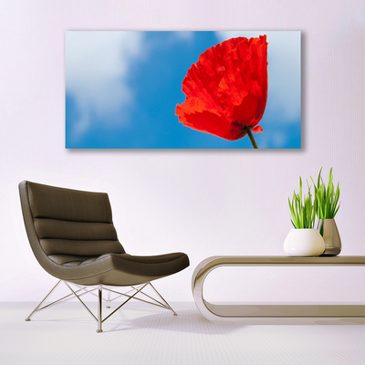 Quadro acrilico Tulipano Sul Muro