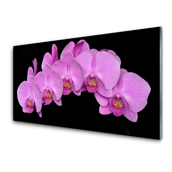 Quadro vetro acrilico Fiori Sul Muro