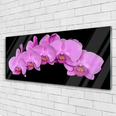 Quadro vetro acrilico Fiori Sul Muro