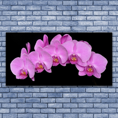 Quadro vetro acrilico Fiori Sul Muro