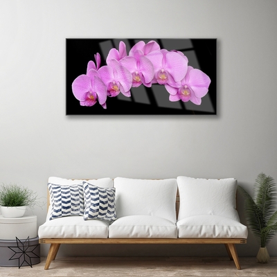 Quadro vetro acrilico Fiori Sul Muro