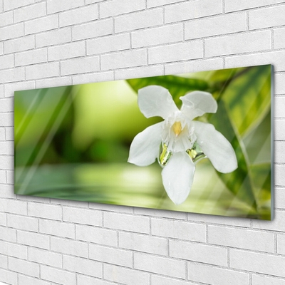 Quadro in vetro acrilico Foglie di fiori