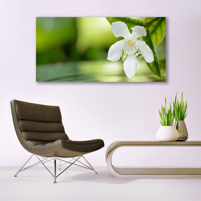 Quadro in vetro acrilico Foglie di fiori