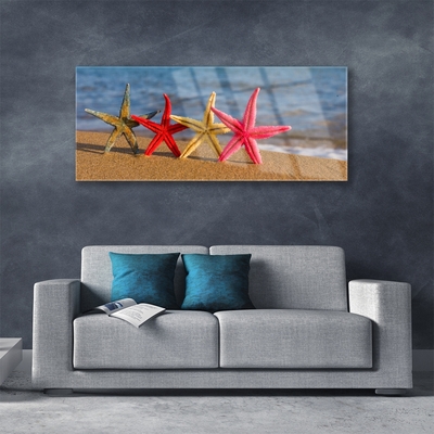 Quadro acrilico Arte della stella marina della spiaggia