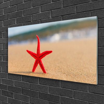 Quadro vetro acrilico Arte della stella marina della spiaggia