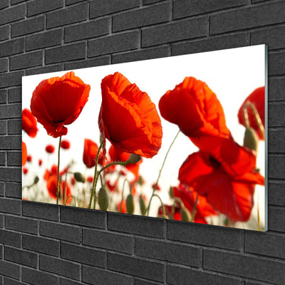 Quadro acrilico Fiori di tulipani